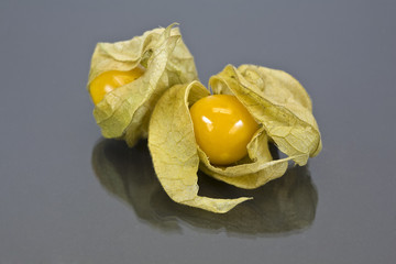 Physalis
