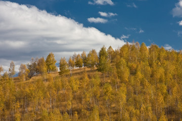 Fototapeta premium Autumn landscape in Retezat Mountains, Romania.