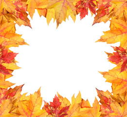 Colorful autumn leaves frame on white background