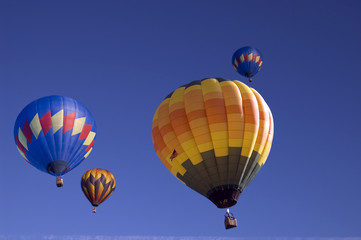 An image of multiple hot air balloons.