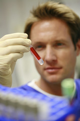 laborant untersucht blutprobe in der klinik