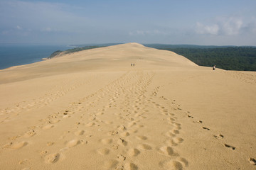 Sur la dune du Pyla