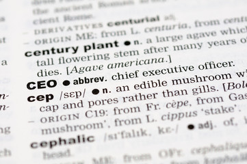 A close up of the word CEO from a dictionary