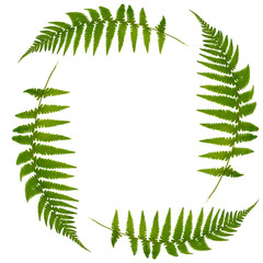 Fern Leaf Recycling Symbol