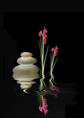 Obraz na płótnie Canvas Zen Spa Kamienie i Red Iris Flowers