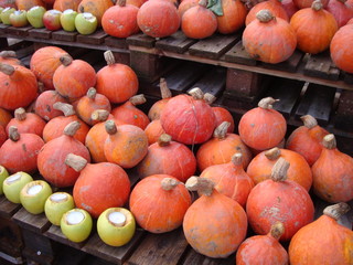 Pumpkins