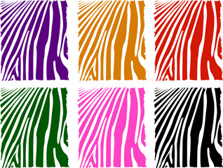 color zebra skin set