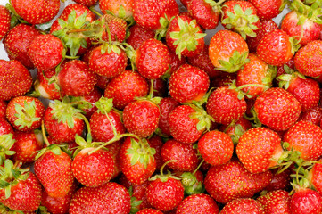 Lots of strawberries arranged as the background