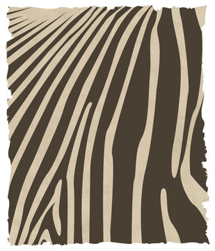 zebra skin