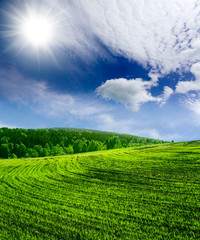 beautiful spring landscape