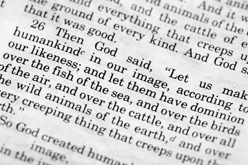 Genesis 1:26 - a popular verse in the Bible's Old Testament
