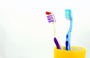 Two toothbrushes in yellow mug