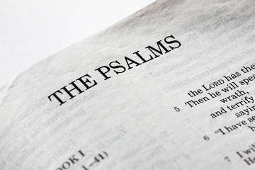 A macro detail of the book of psalms