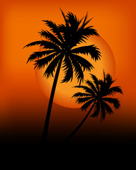 Fototapeta na wymiar Kind of Urban Art palms in the sunset between black and orange
