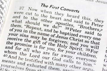 Fototapeta premium Acts 2:28 - a popular verse in the New Testament