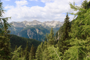 The Julian Alps