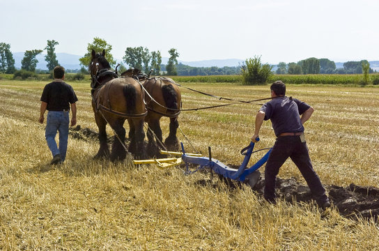 labour &agrave; l'ancienne