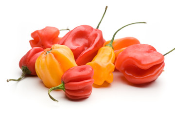 Mehrere Habanero Chillis auf einem Haufen