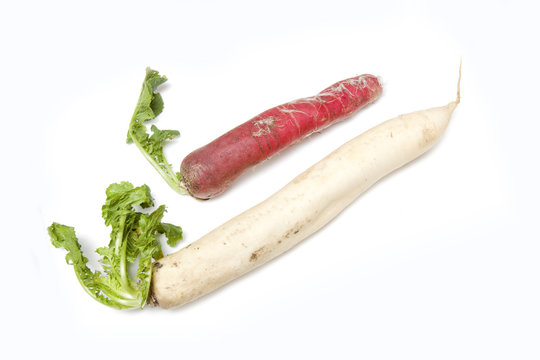 Mooli isolated on a white studio background