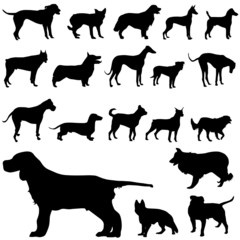 set of dog vector