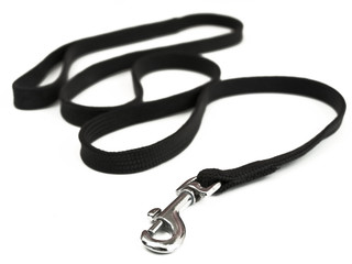 photo of the black dog-lead against the white background