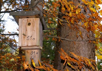 Vogelhaus - Haus am Baum 51a