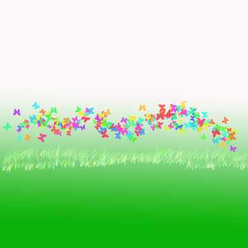 Primavera: con mariposas de colores
