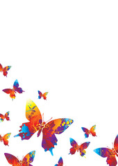 Collection of bright coloured butterflys on a white background