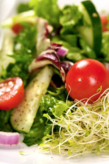 Green Salad with Vegetables and lemon slice