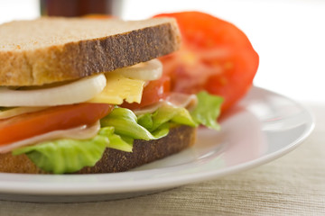 A delicious and healthy sandwich