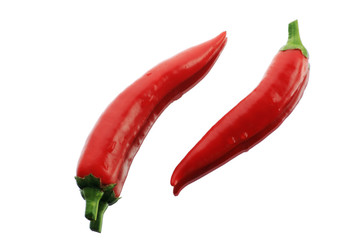 Two red hot chili peppers