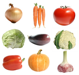 Nine different vegetables on a white background.