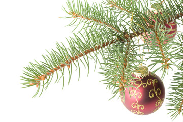 Fir tree branch with decoration on a white background.