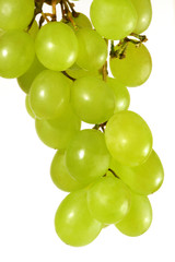 green grapes on white