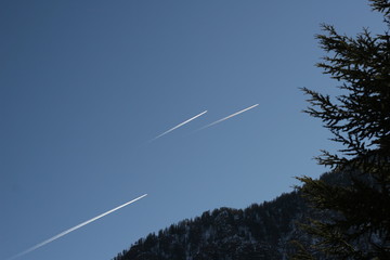 Monti