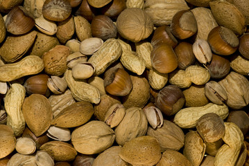 frutta secca mista di stagione