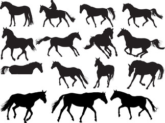 Horse poses
