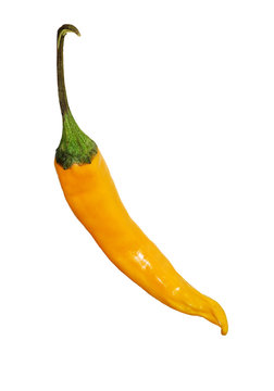 Yellow Pepper