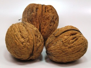 walnut