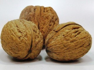 walnut