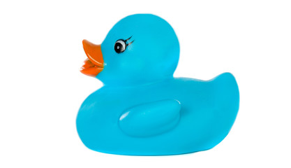 Blue plastic duck a over white background