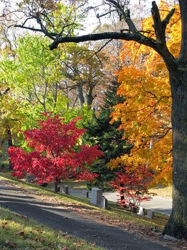 old historic cemetery with colorful autumn trees