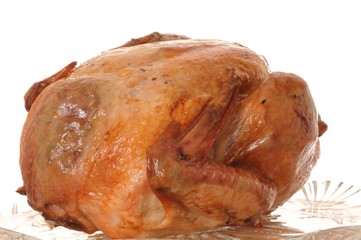 Beautifully browned whole roast turkey isolate on white