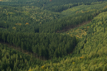 Zschirnstein Aussicht - Zschirnstein view 03