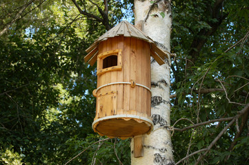 starling-house