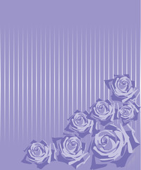 Roses on a lilac background in a strip. Vector