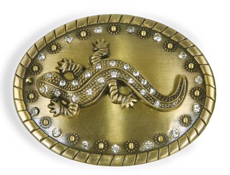 oval brooch with lizard on white background