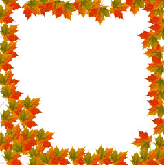 Naklejka na ściany i meble Maple Leaf Autumn Bordered Background