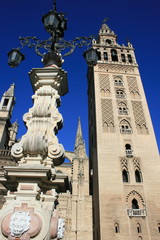 Cathédrale santa maria de sueda et la giralda à Séville