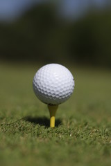 golf ball on a tee